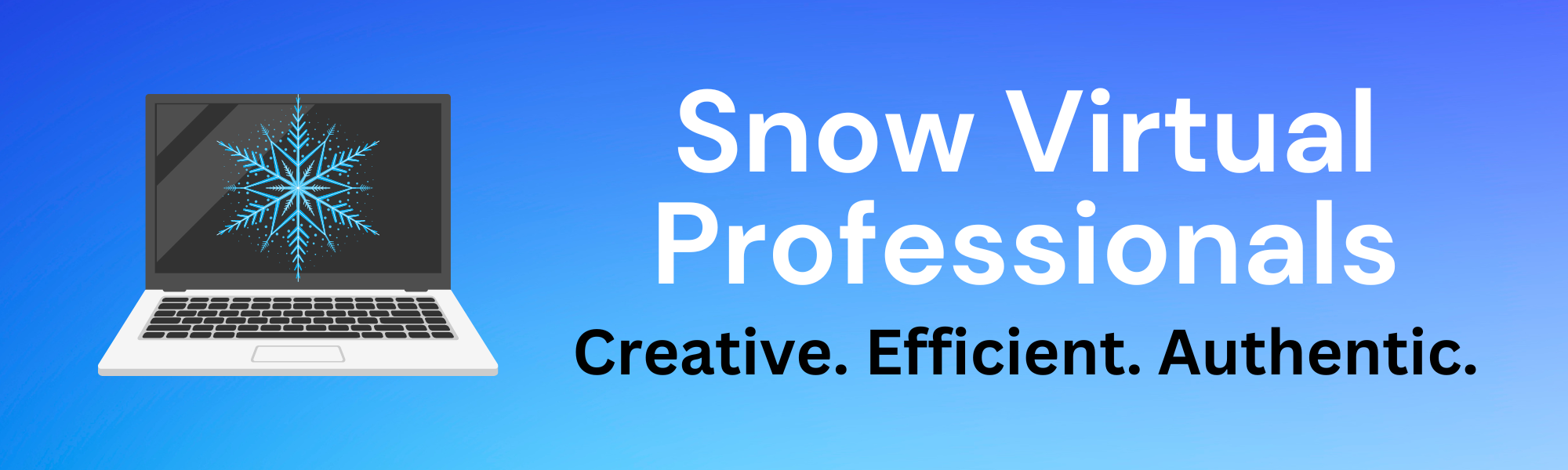 Snow Virtual Professionals